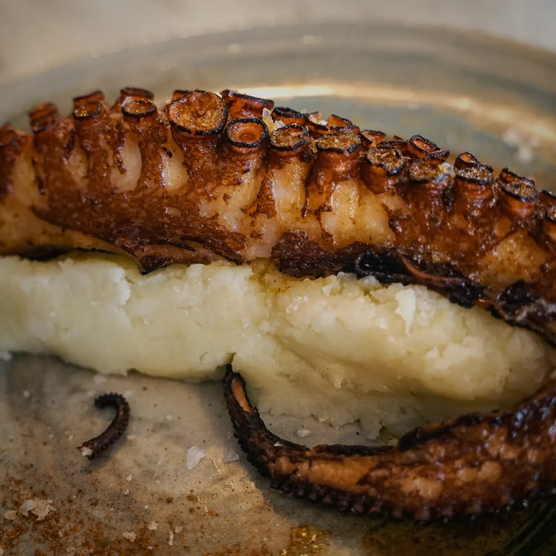 A charred octopus tentacle resting on a bed of potato purée in a shallow bowl.